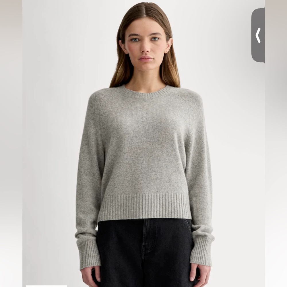 NWT EverlaneThe Boxy Crew in Cashmere light gray Sz Small